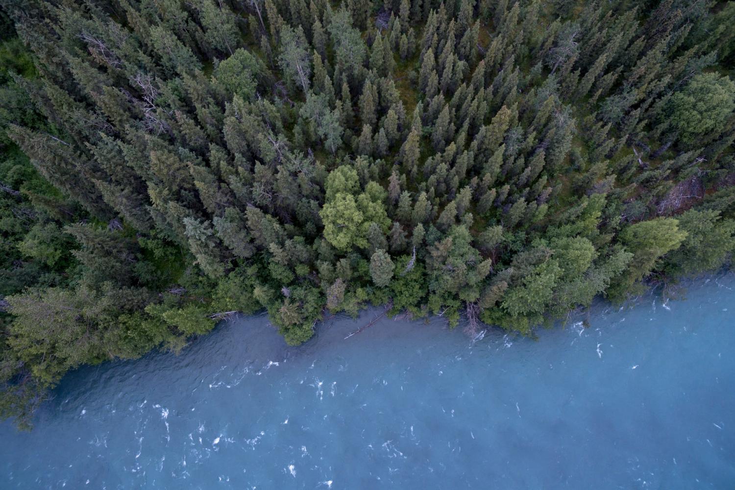 Swapping out Debt for Conservation Funding Has Potential